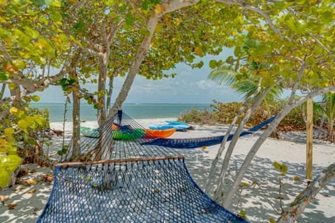 On the beach, sun loungers, beach towels