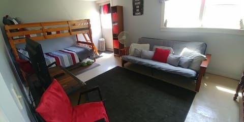 Lower level (between first floor and basement with walk out to the outside)