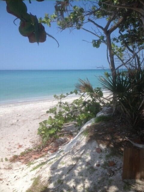 Beach nearby, sun loungers