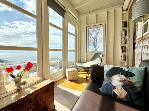 Fireplace, books, music library, stereo