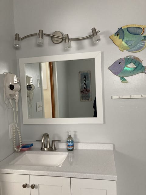 Combined shower/tub, hair dryer