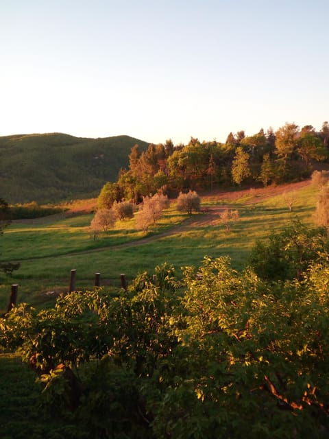 View from the window