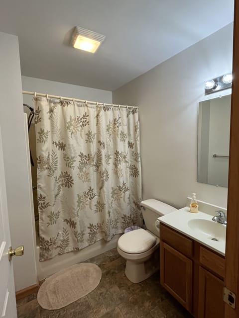 Combined shower/tub, hair dryer