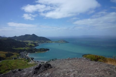 View from Mt Manaia