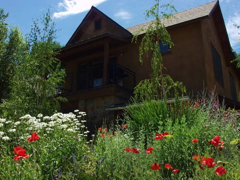 Aria's Loft Summer Gardens