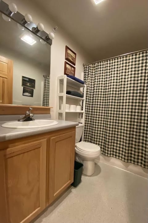 Combined shower/tub, towels, toilet paper