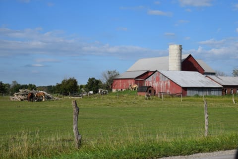 Picturesque Countryside