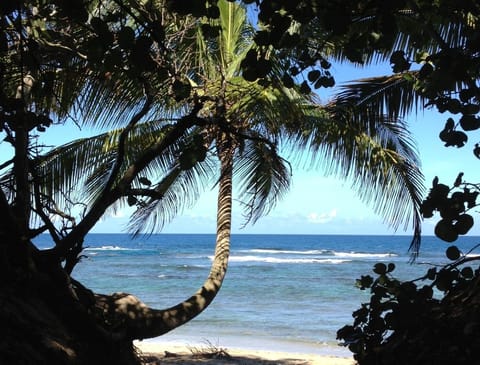 On the beach, sun loungers, beach towels