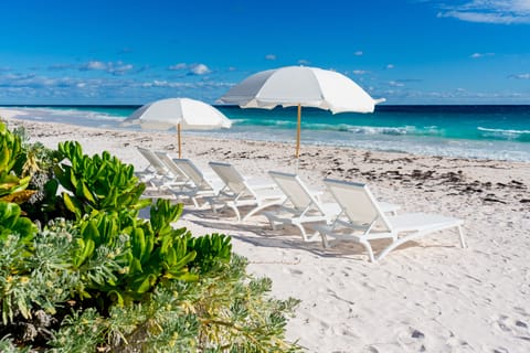 On the beach, sun loungers, beach towels