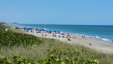 Beach nearby, sun loungers, beach towels