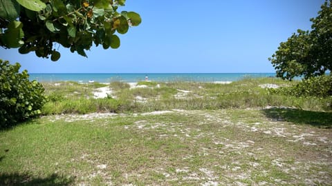 On the beach, sun loungers, beach towels