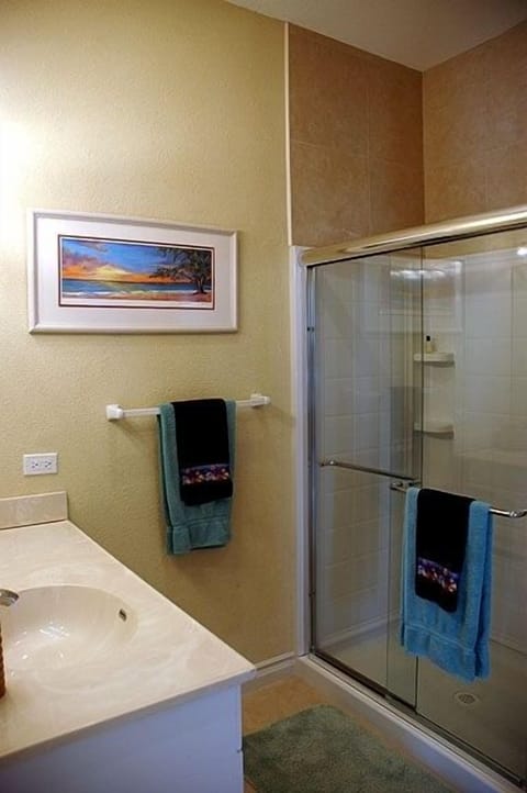 Combined shower/tub, hair dryer, towels