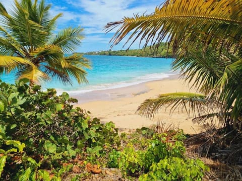 Beach nearby, sun loungers, beach towels