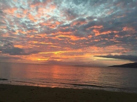 The sunset from our local beach