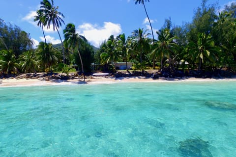 Beach nearby, beach towels