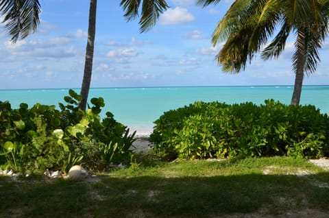 On the beach, sun loungers, beach towels