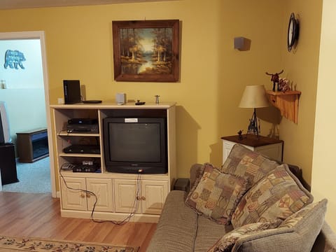 TV, fireplace, video games, DVD player