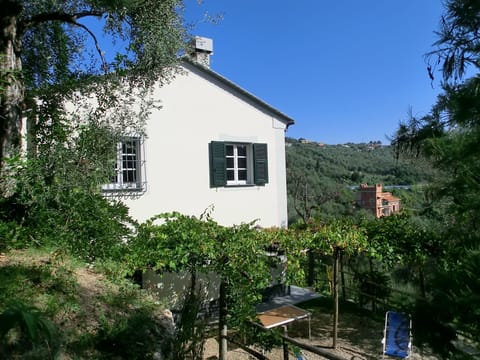 Casa Bianca the White House in olive groves/garden with our villa in background 
