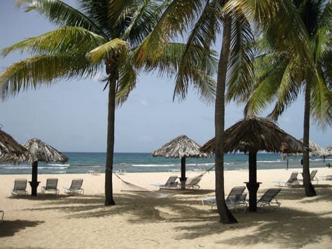 Enjoy the Caribbean sun or relax in the shade on our beautiful white sand beach