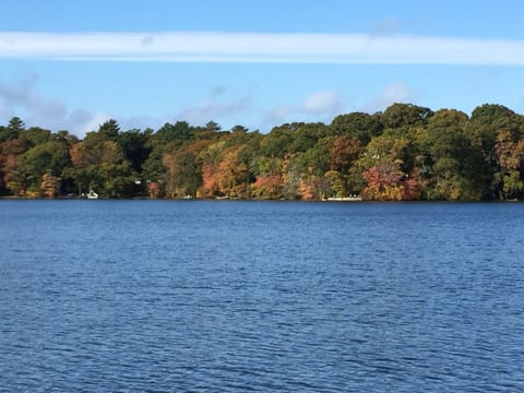 Fresh Pond, very clear water, perfect for swimming, fishing, or boating.