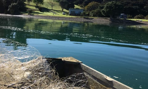 Heading back to the bach with the net and some fish.