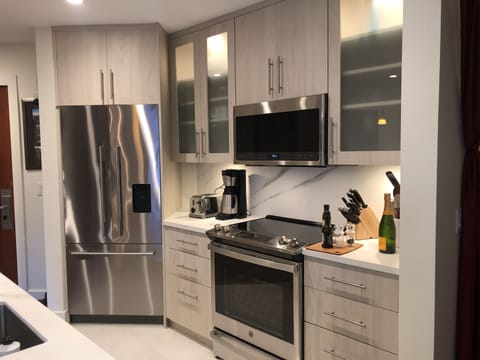 stainless steel appliances Fisher &Paykel