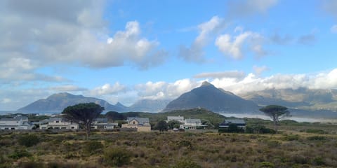 View north, looking towards rear of house, last house on rhs