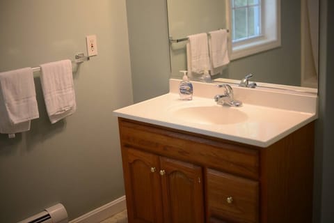 Master Bathroom Vanity