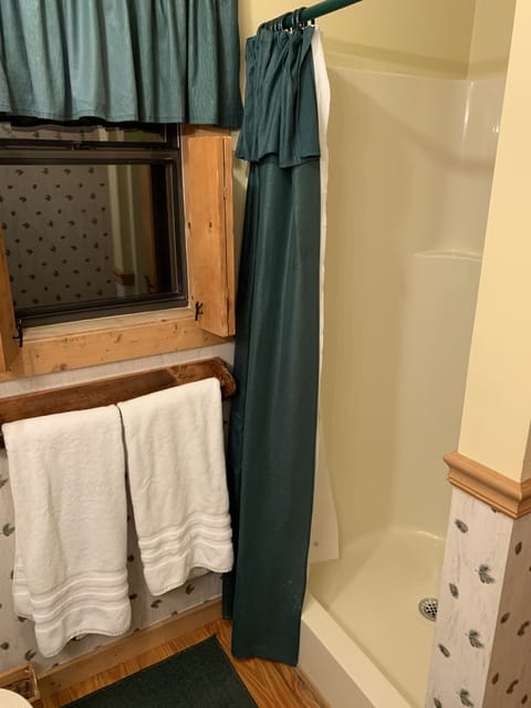 Combined shower/tub, hair dryer, towels, toilet paper