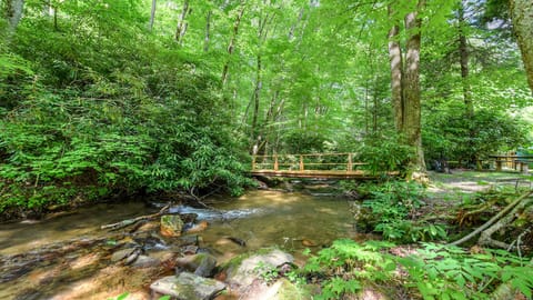 Footbridge over creek