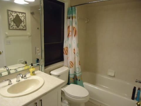 Combined shower/tub, hair dryer, towels