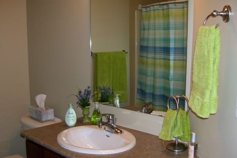 Combined shower/tub, hair dryer, towels, soap