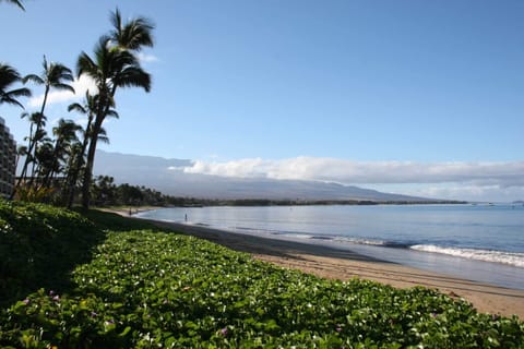 Best Maui View! Direct Oceanfront!