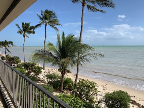 On the beach, sun loungers, beach towels