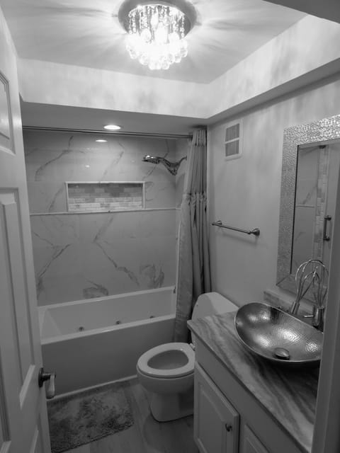 Shower, jetted tub, hair dryer, towels