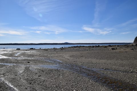 View of shore line of Heather Cove at low tide -expansive views to Blue Hill