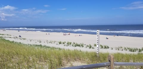 Beach nearby, sun loungers