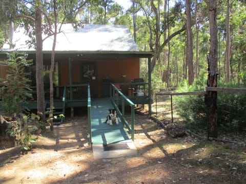 Chalet 1 with ramp and dog yard. Wheelchair friendly bathroom and facilities.