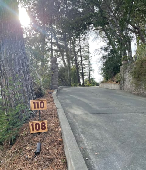 The driveway in Myrtle. Ample parking atop.