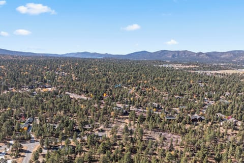 Bird's Eye View of the Property Surroundings