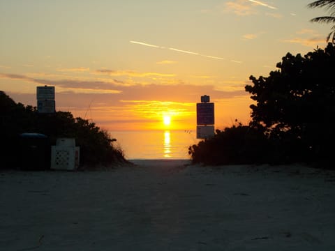 Beach nearby, sun loungers, beach towels