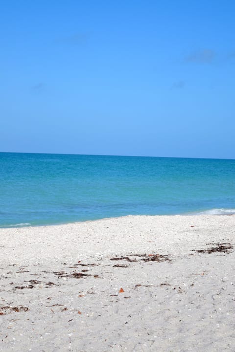 Beach nearby, sun loungers, beach towels