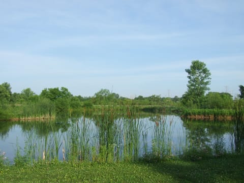 Two acre lake.