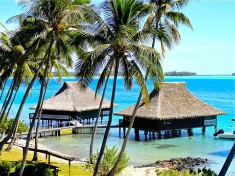 World Famous Brando's and Marlon's Over Water Bungalows!