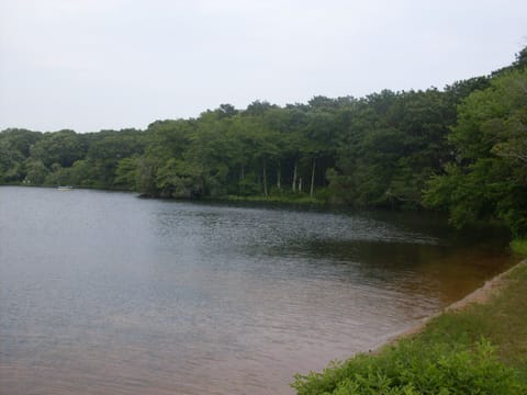Beautiful Pond for swimming, kayaking just steps from your door!