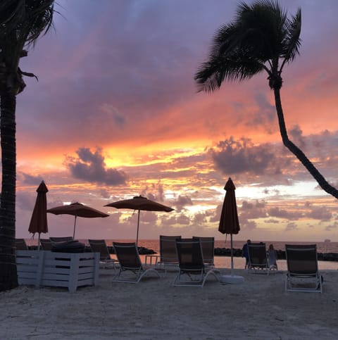 On the beach, sun loungers, beach towels