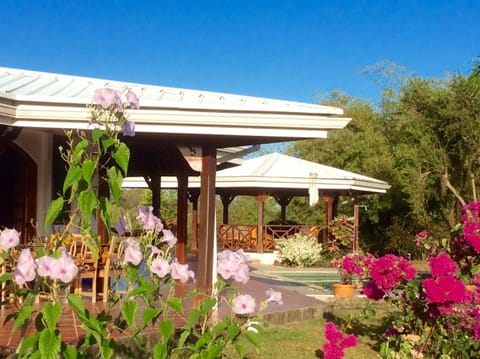 Outdoor dining and gazebo