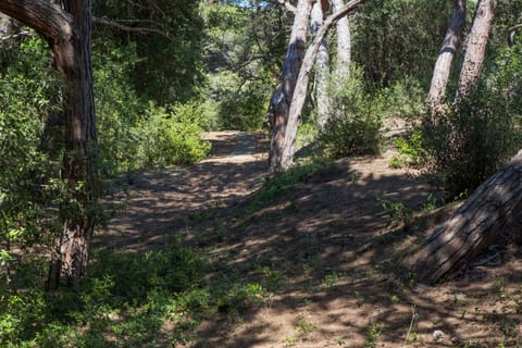 The private path to the beach.