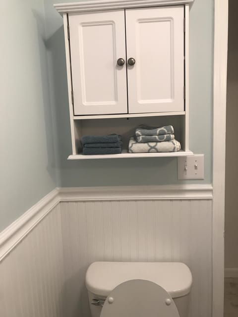 Combined shower/tub, jetted tub, hair dryer, towels