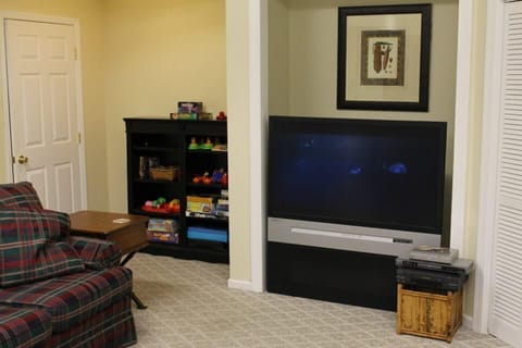 Smart TV, fireplace, DVD player, books